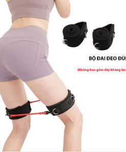 [DD]Dây đeo đùi tập squat, tập mông chân, tập lực chân, võ thuật taekwondo
