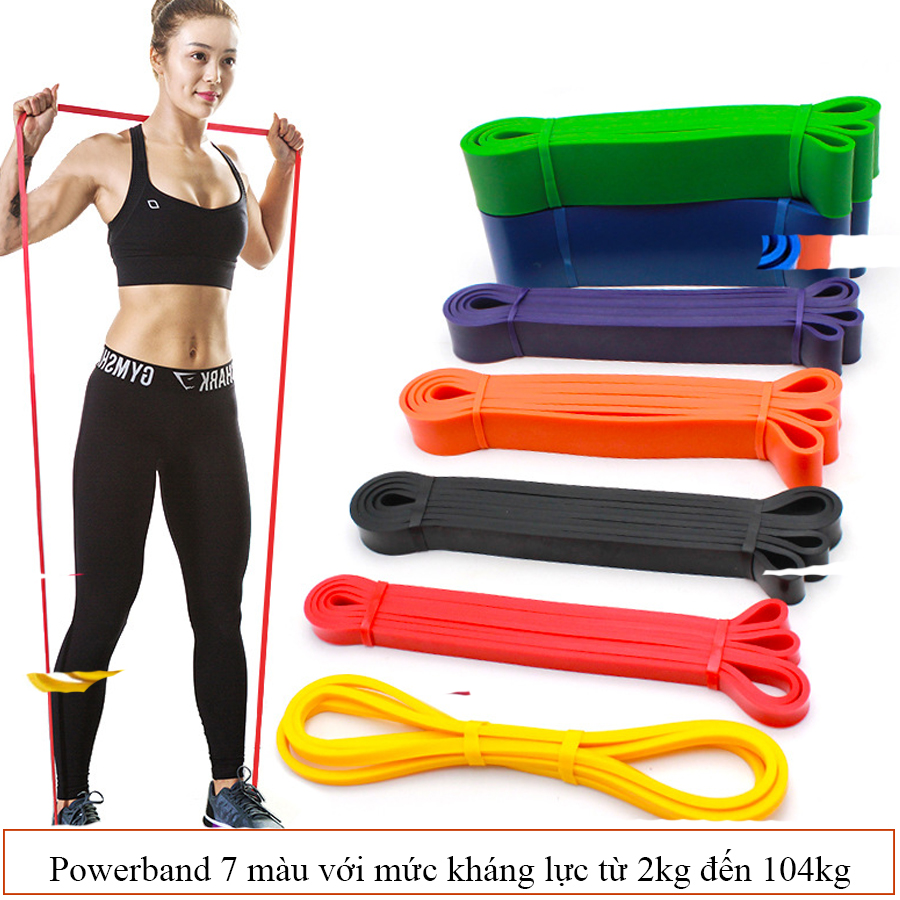 Dây đa năng hổ trợ tập luyện powerband nhiều mức kháng lực WP - Ảnh 2
